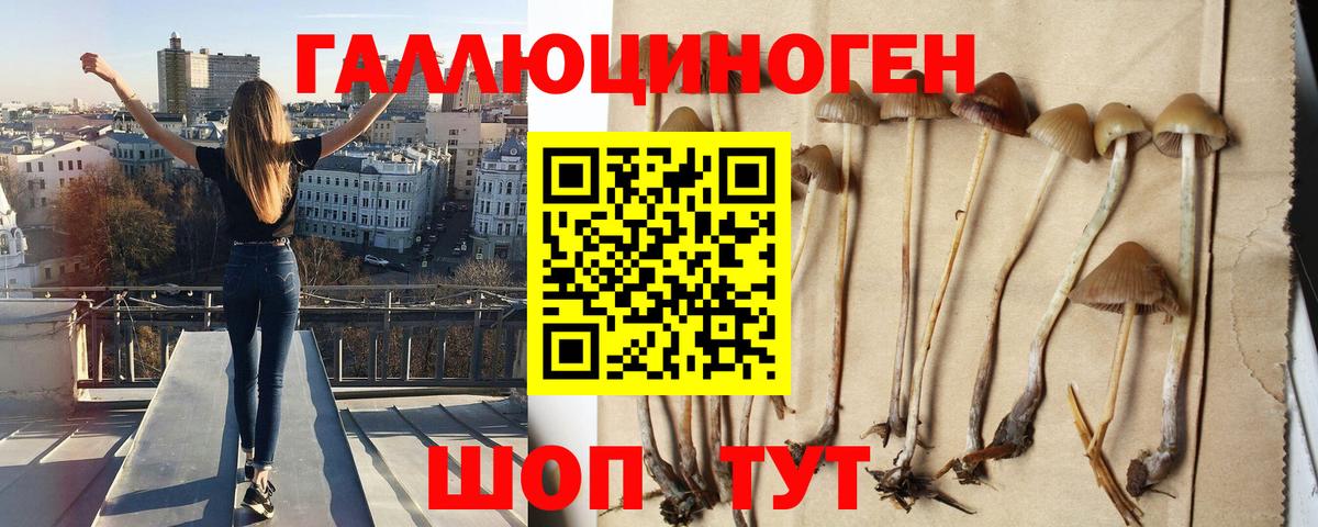 Галлюциногенные грибы MAGIC MUSHROOMS Щёкино